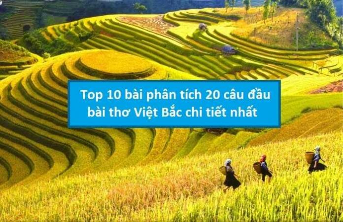 Top 10 bài phân tích 20 câu đầu bài thơ Việt Bắc chi tiết nhất