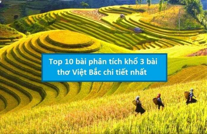 Top 10 bài phân tích khổ 3 Việt Bắc chi tiết nhất