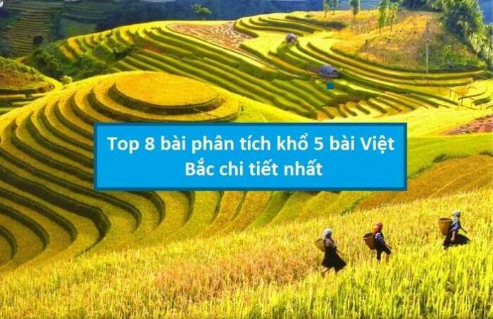 Top 8 bài phân tích khổ 5 Việt Bắc chi tiết nhất