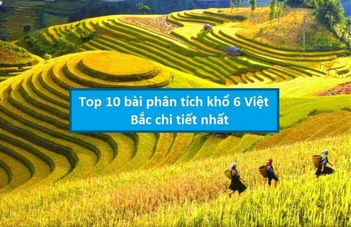Top 10 bài phân tích khổ 6 Việt Bắc chi tiết nhất