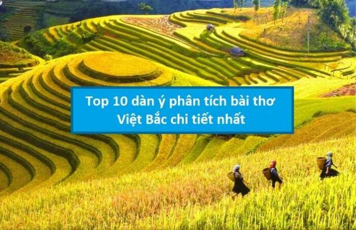Top 10 dàn ý Việt Bắc chi tiết nhất