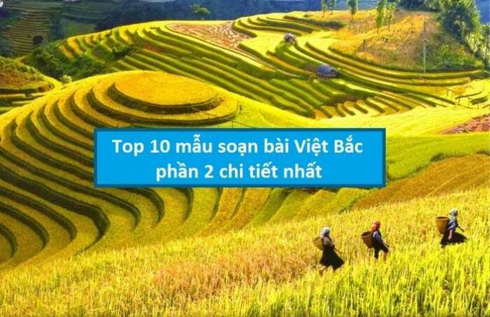 Top 10 mẫu soạn bài Việt Bắc phần 2 chi tiết nhất
