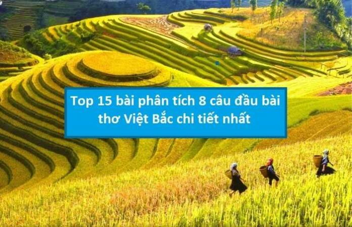 Top 15 bài phân tích 8 câu thơ đầu bài Việt Bắc chi tiết nhất