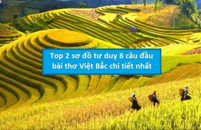 Top 2 sơ đồ tư duy 8 câu đầu bài Việt Bắc chi tiết nhất
