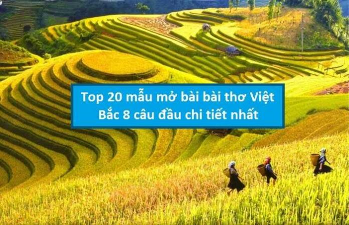 Top 20 mẫu mở bài bài Việt Bắc 8 câu đầu chi tiết nhất