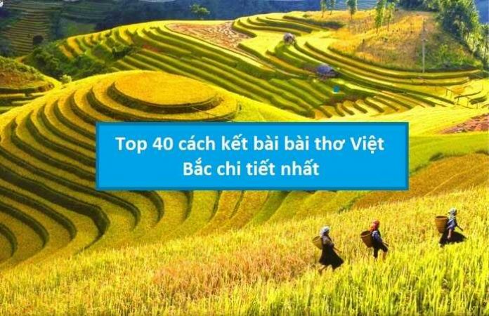 Top 40 cách kết bài Việt Bắc chi tiết nhất