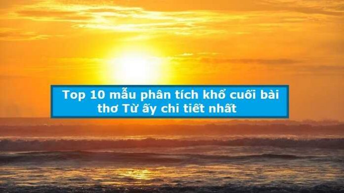 Top 10 mẫu phân tích khổ cuối bài thơ Từ ấy chi tiết nhất