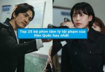 Top 25 bộ phim tâm lý tội phạm của Hàn Quốc hay nhất