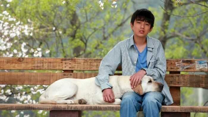 Phim của Yoo Seung Ho đóng hay nhất